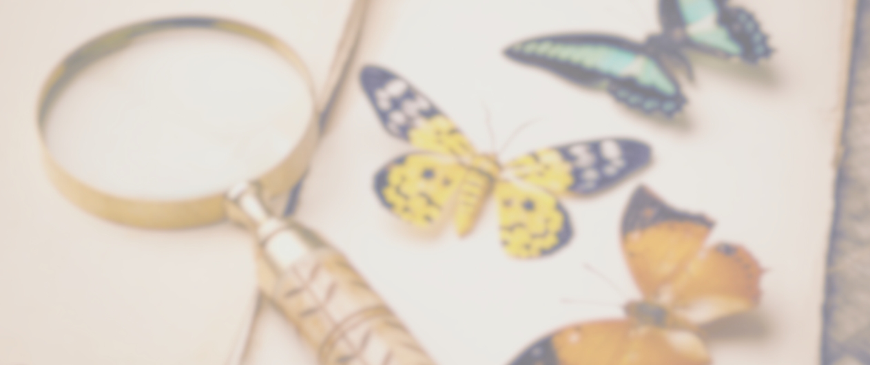 BSc 1st Year CBZ Bundle - All Subjects Classes and Notes